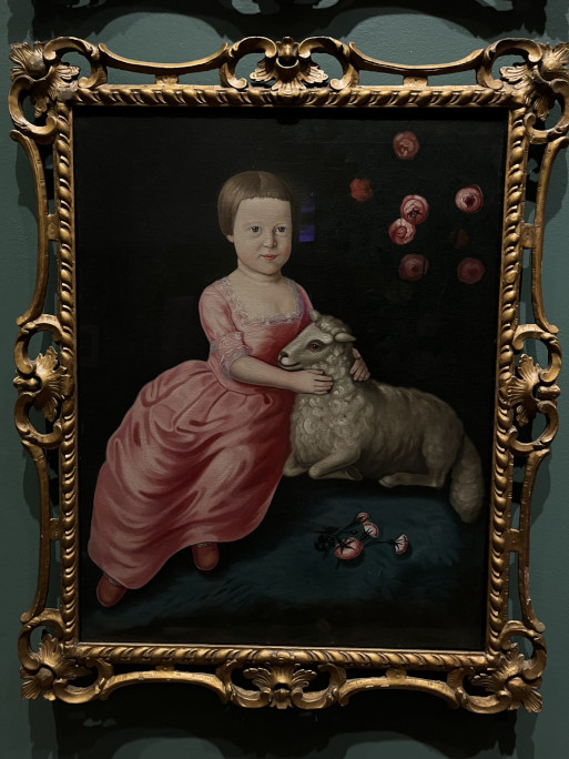 pets