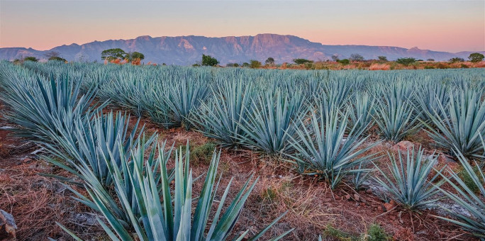mexico
