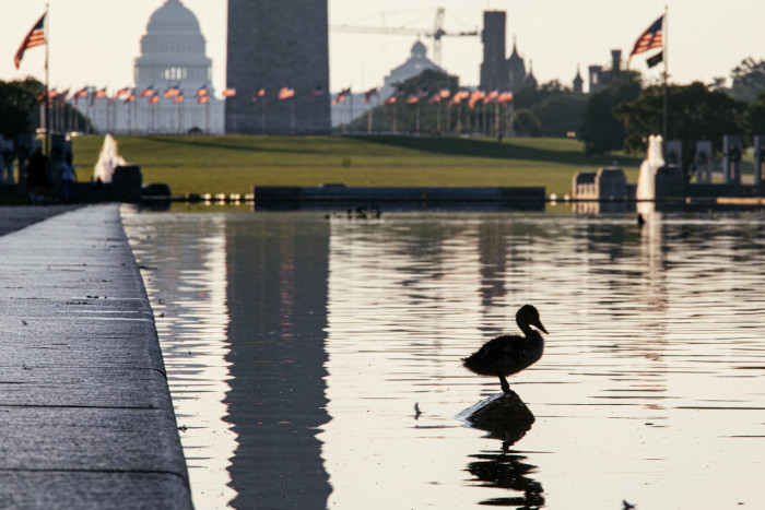 reflecting pool article in highbrow magazine