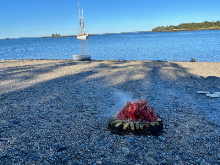 maine sailing article in highbrow magazine