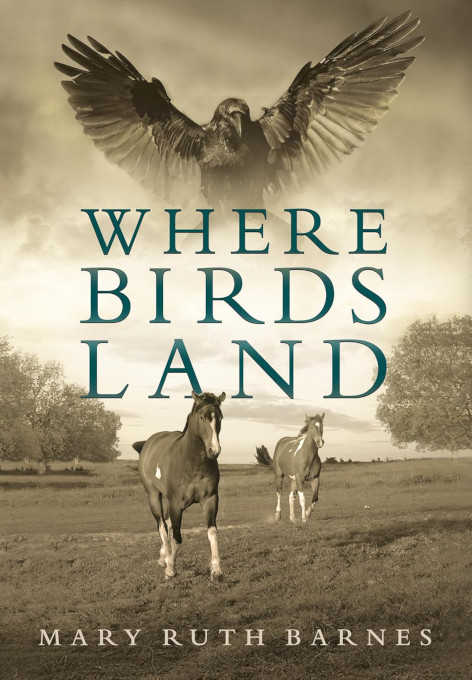 barnes book