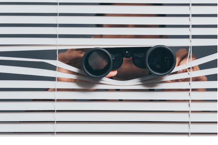 spy