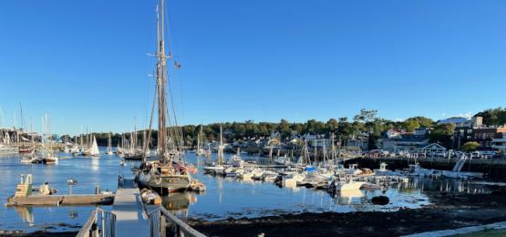 maine sailing article in highbrow magazine